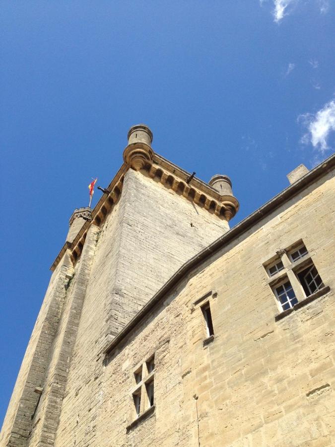 Uzes A Pied, Appartement Dans Cadre D'Exception Eksteriør billede